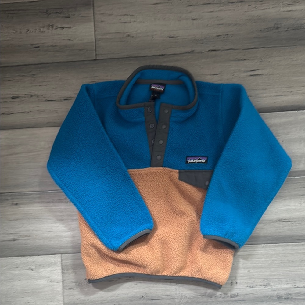 Patagonia Blue and Tan Fleece Jacket